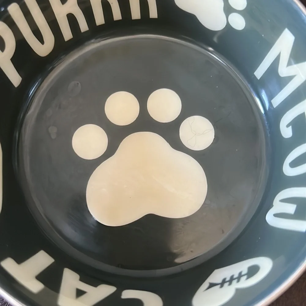 Pre-owned set of two cat food bowls, outside of bowl is stainless steel.